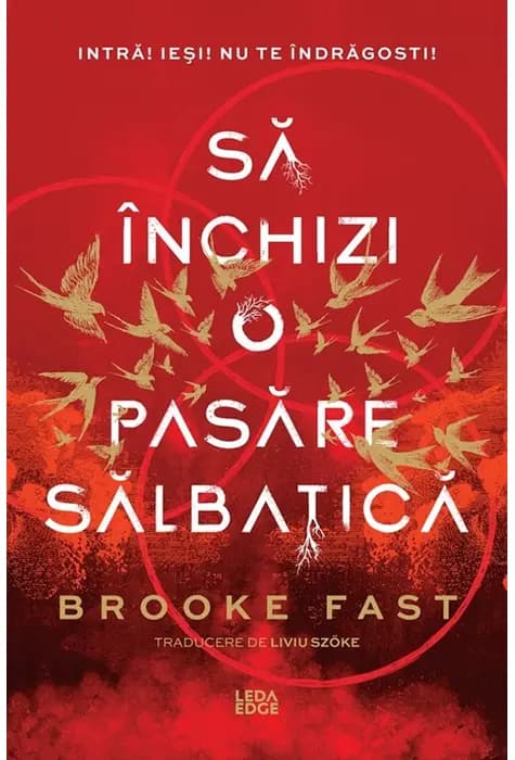Coperta cărții Endlock. Să închizi o pasăre sălbatică (Vol. 1) de Brooke Fast