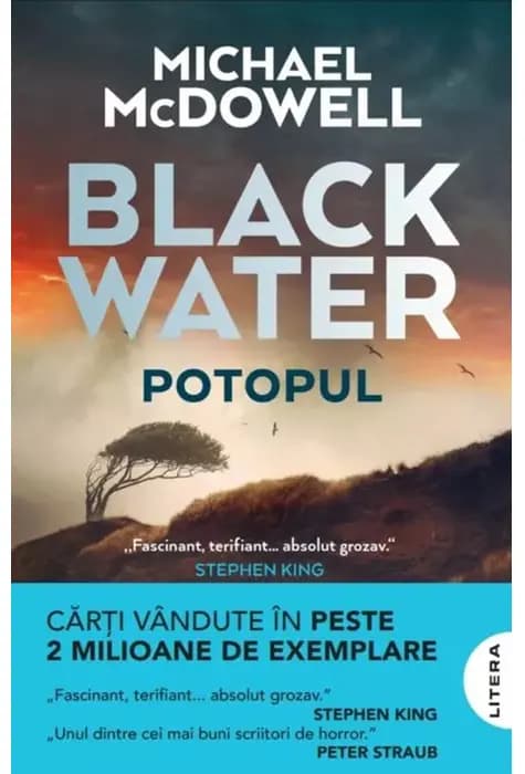 Coperta cărții Blackwater. Potopul (Vol. 1) de Michael McDowell